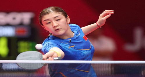 端构建了坚 端构建了坚