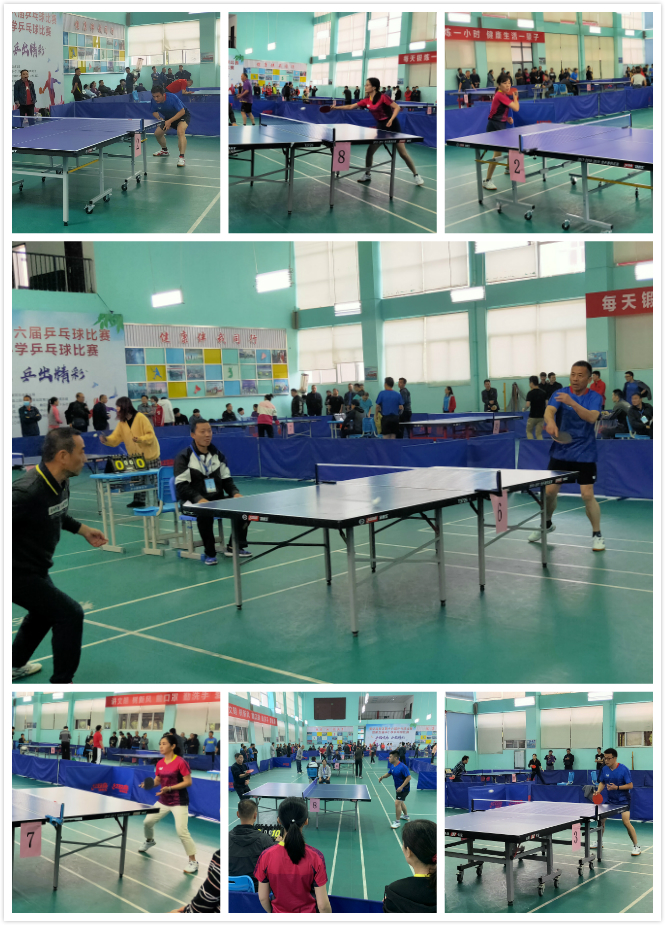 的诺维茨基 的诺维茨基