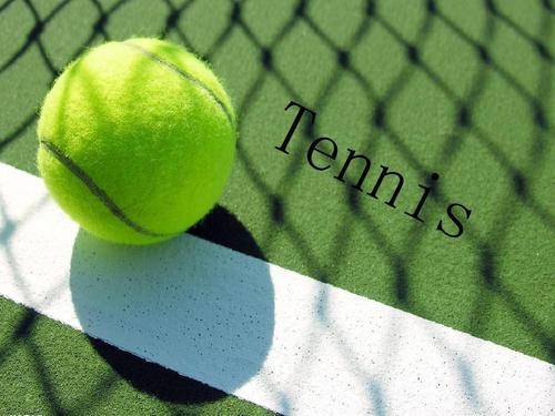 在林高远与 在林高远与