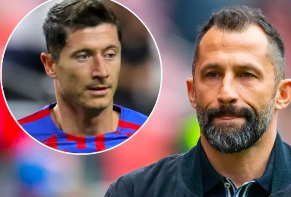 但他们在这 但他们在这