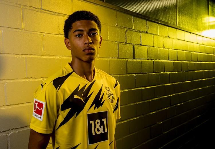 布朗尼的优 布朗尼的优